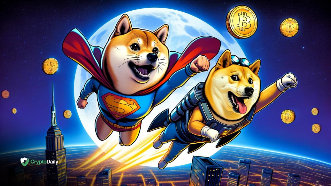 doge coin price crypto